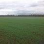 Stubbings Farm