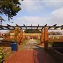 Southsea Rose Garden