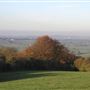 NT - Sundon Hills Country Park