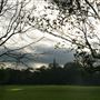 Chelmer Park
