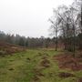 Hindhead Common