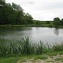 Godstone Vineyards