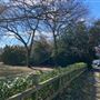 Morley Road Recreation Ground