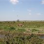 Carlton Marshes Nature Reserve