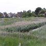 Walberswick Village
