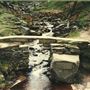 Bronte Footbridge