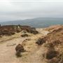 Ilkley Moor