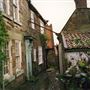 Plane Tree Street