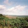 North Yorkshire Moors Forests