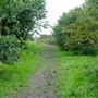 Warmley Forest Park