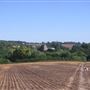Kimpton Village