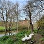 A - Moat Farm