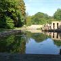 Cleveland Pools