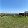 A - White Cliffs Farm
