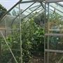 A - Float Farm