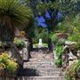 Tresco, Isles of Scilly