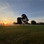 Sunrise Farm