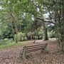 Alexandra Gardens