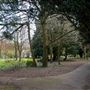 Thorn Park