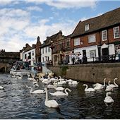 Quayside & Great River Ouse (St Ives)