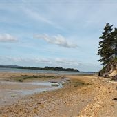 NT - Brownsea Island