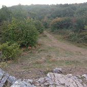 Burrington Combe & Common
