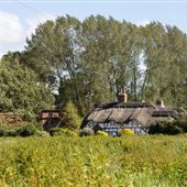 Moors Wood Farm