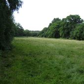 MOD - Hankley