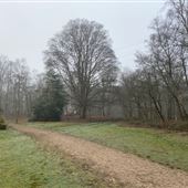 Shackleford Heath