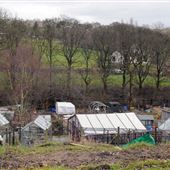 Allotments