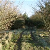 Church Farm