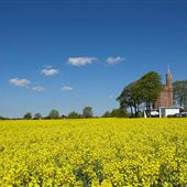 Lymm Water Tower