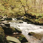 Mallyan Spout, Whitby