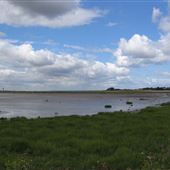 Paull Holme Strays