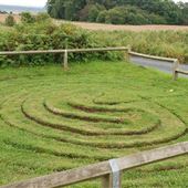 Troy Maze