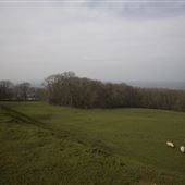 NT - Dovers Hill