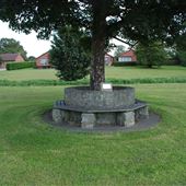Scorton Park Bench