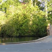 Village Pond, Bishop Burton