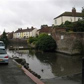 Pond - Nafferton