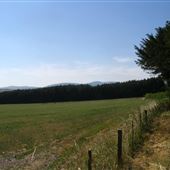 Harehope Estate