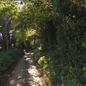 Waterend Lane
