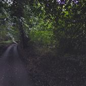 Rousebarn Lane