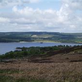 Kielder Water & Forest Park