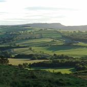 Edlingham