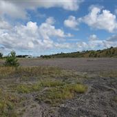 Wardley Pit Tip