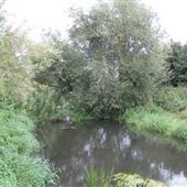 River Colne