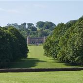 Mount Edgcumbe Grounds