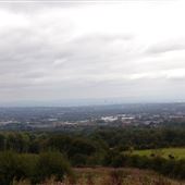 Horrocks Wood