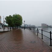Tree-Lined Walkway, Salford Quays
