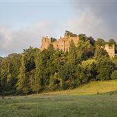 NT - Dunster Castle